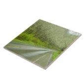 Fernlandstraße durch Wald Fliese (Seite)