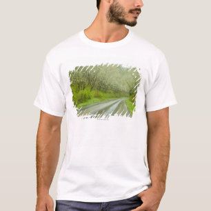 Fernlandstraße durch Wald T-Shirt