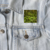 Ferns and native bush near Matai Falls, Catlins Button (Beispiel)
