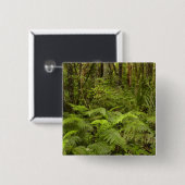 Ferns and native bush near Matai Falls, Catlins Button (Vorne & Hinten)