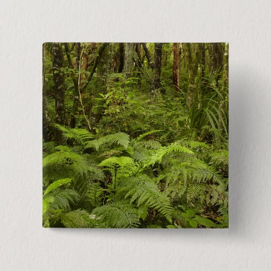 Ferns and native bush near Matai Falls, Catlins Button (Vorderseite)