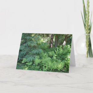 Ferns and Trees in Sunlight-Blank Card Karte
