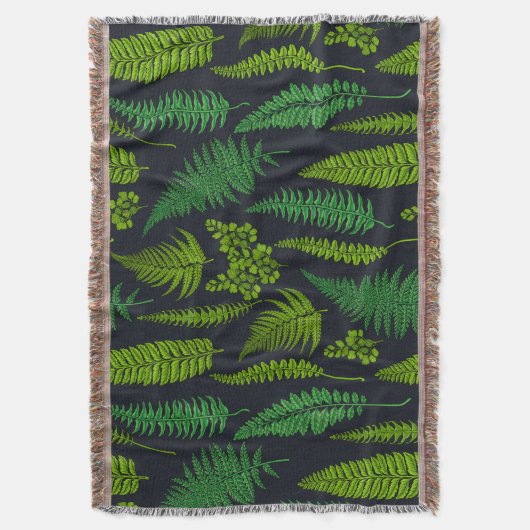 Ferns Decke (Vorderseite Vertikal)