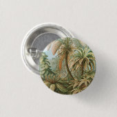 Ferns, Filicinae Laubfarne von Ernst Haeckel Button (Vorne & Hinten)