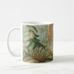 Ferns, Filicinae Laubfarne von Ernst Haeckel Kaffeetasse