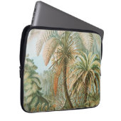 Ferns, Filicinae Laubfarne von Ernst Haeckel Laptopschutzhülle (Vorne Rechts)