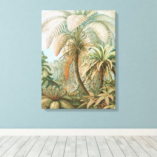 Ferns, Filicinae Laubfarne von Ernst Haeckel Leinwanddruck (Insitu (Holzboden))