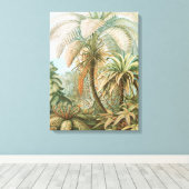 Ferns, Filicinae Laubfarne von Ernst Haeckel Leinwanddruck (Insitu (Holzboden))