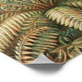 Ferns, Filicinae Laubfarne von Ernst Haeckel Poster (Ecke)