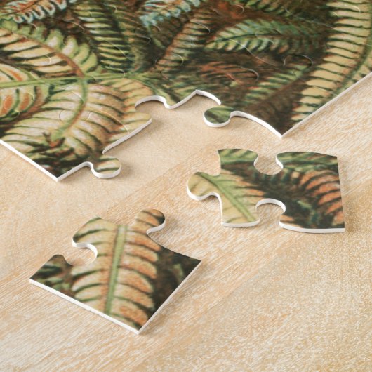 Ferns, Filicinae Laubfarne von Ernst Haeckel Puzzle (Seite)