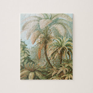 Ferns, Filicinae Laubfarne von Ernst Haeckel Puzzle