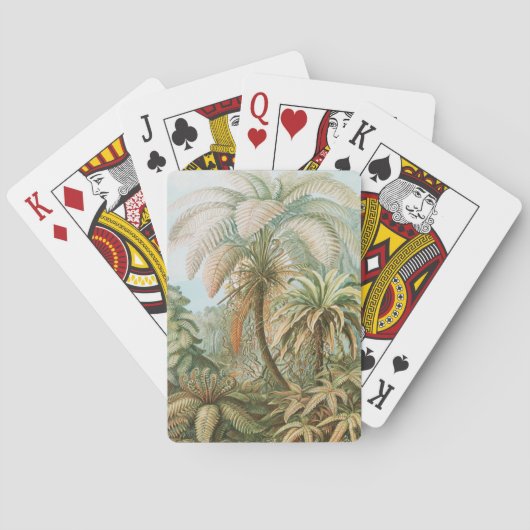 Ferns, Filicinae Laubfarne von Ernst Haeckel Spielkarten (Rückseite)