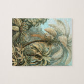 Ferns, Filicinae von Ernst Haeckel, Vintage Pflanz Puzzle (Horizontal)