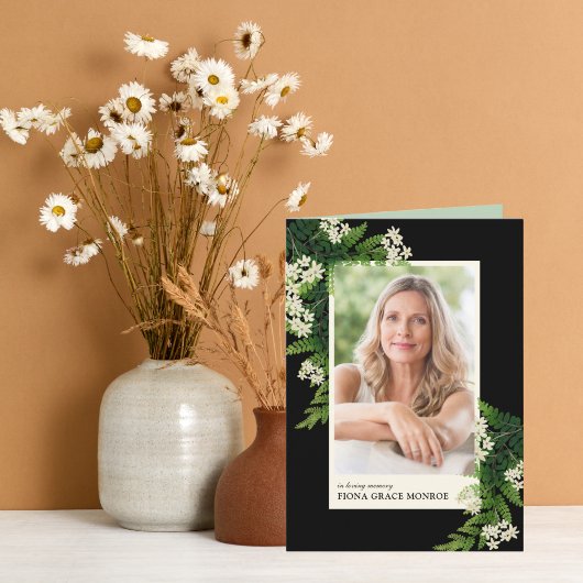 Ferns-Foto-Gedächtnisprogramm Programm