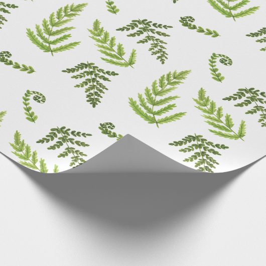 Ferns Geschenkpapier (Ecke)