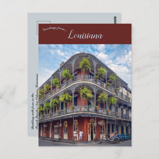 Ferns im französischen Viertel New Orleans Louisia Postkarte (Vorne/Hinten)