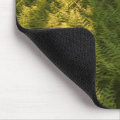 Ferns im Wald in Grafton, Massachusetts. Mousepad (Ecke)