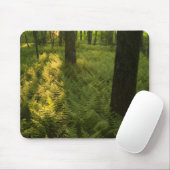 Ferns im Wald in Grafton, Massachusetts. Mousepad (Mit Mouse)