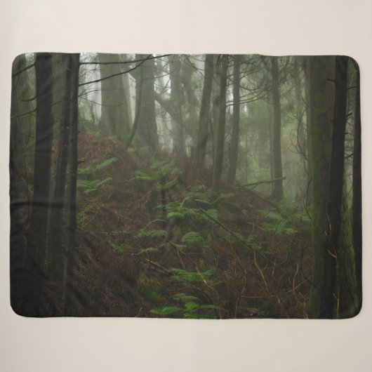 FERNS IN FORREST SHERPADECKE (Vorderseite (Horizontal))