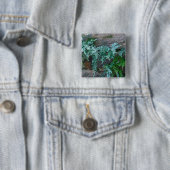 Ferns in Philadelphia Button (Beispiel)