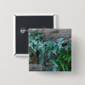 Ferns in Philadelphia Button (Vorne & Hinten)