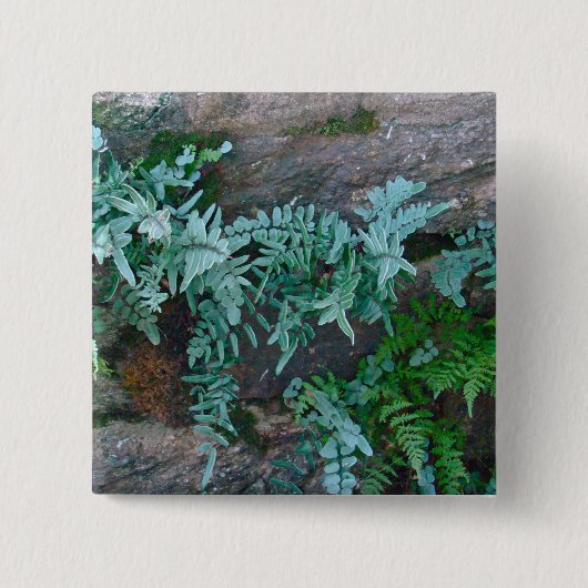 Ferns in Philadelphia Button (Vorderseite)