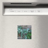 Ferns in Philadelphia Magnet (In Situ (Geschirrspüler))