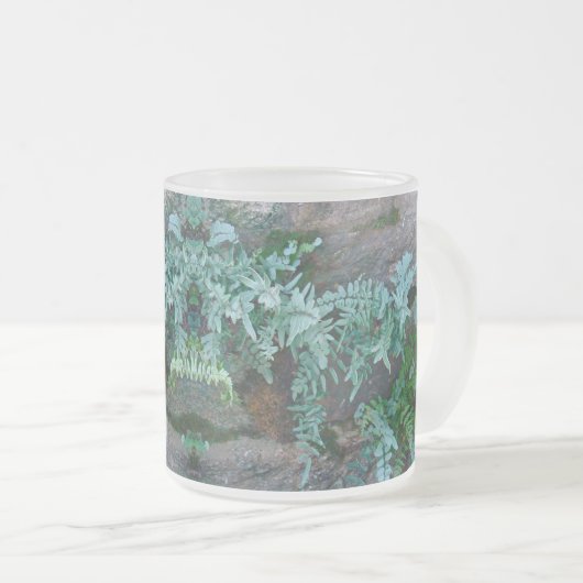 Ferns in Philadelphia Mattglastasse (VorderseiteRechts)