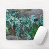 Ferns in Philadelphia Mousepad (Mit Mouse)