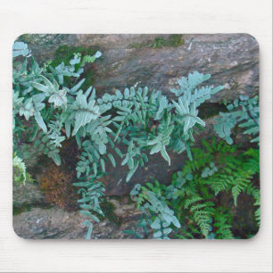 Ferns in Philadelphia Mousepad