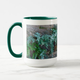 Ferns in Philadelphia Tasse