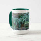 Ferns in Philadelphia Tasse (Vorderseite Links)