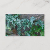 Ferns in Philadelphia Visitenkarte (Rückseite)