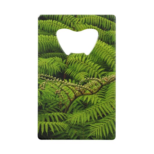 Ferns - Kunstfotografie Geldbeutel Flaschenöffner (Vorderseite)