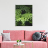 Ferns Leinwanddruck (Insitu (Wohnzimmer))