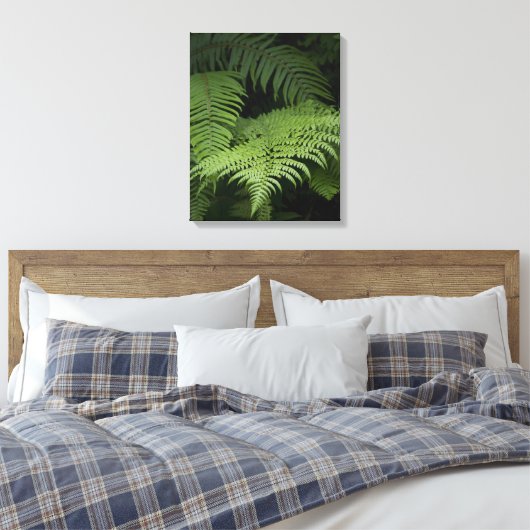 Ferns Leinwanddruck (Insitu (Schlafzimmer))