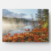 Ferns on Shoreline | Paradies, Michigan Fotoplatte (Vorderseite)