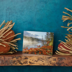 Ferns on Shoreline Paradies, Michigan Fotoplatte
