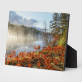 Ferns on Shoreline | Paradies, Michigan Fotoplatte (Seite)