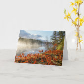 Ferns on Shoreline | Paradies, Michigan Karte (Gelbe Blume)