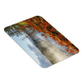 Ferns on Shoreline | Paradies, Michigan Magnet (Rechte Seite)