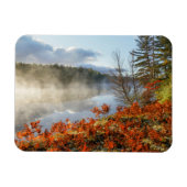 Ferns on Shoreline | Paradies, Michigan Magnet (Horizontal)