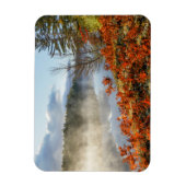 Ferns on Shoreline | Paradies, Michigan Magnet (Vertikal)