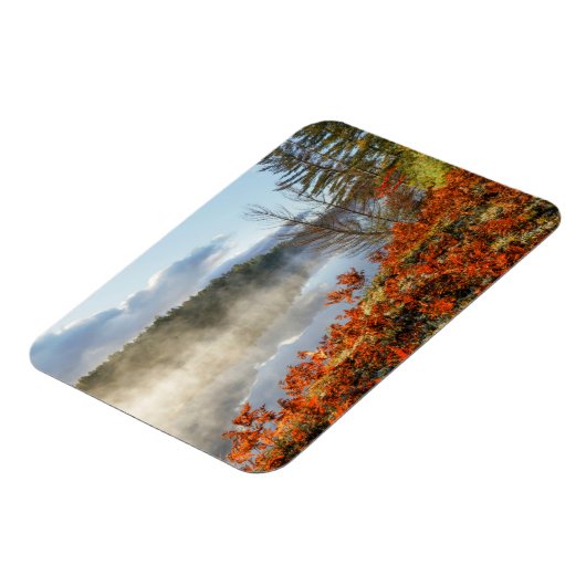 Ferns on Shoreline | Paradies, Michigan Magnet (Linke Seite)