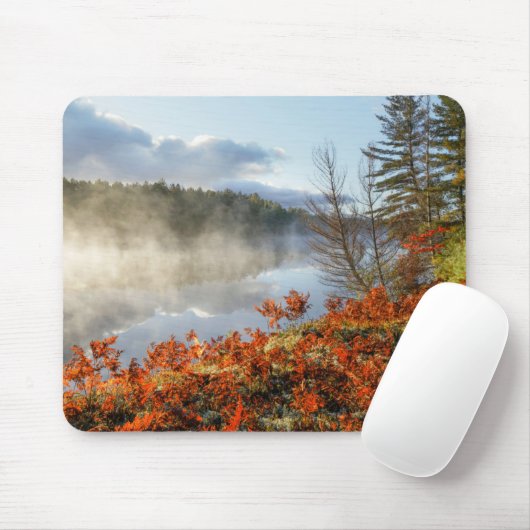 Ferns on Shoreline | Paradies, Michigan Mousepad (Mit Mouse)