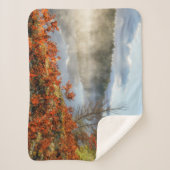 Ferns on Shoreline | Paradies, Michigan Sherpadecke (Vorderseite)