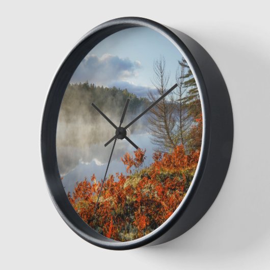 Ferns on Shoreline | Paradies, Michigan Uhr (Winkel)