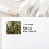 Ferns Palm Tree Antique Botanischer Garten (Insitu)