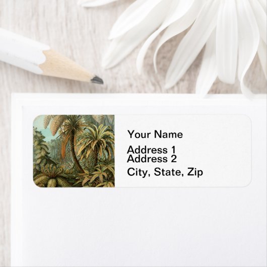 Ferns Palm Tree Antique Botanischer Garten (Insitu)