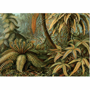 Ferns Palm Tree Antique Botanischer Garten Fotoskulptur Magnet